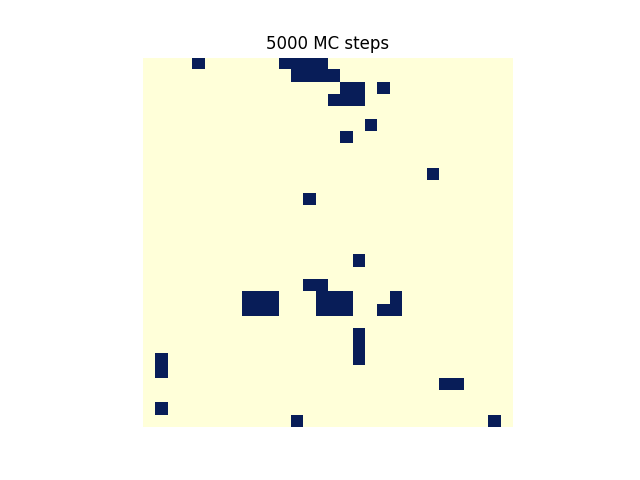 물리:5000_mc_steps_additional_trial_.png