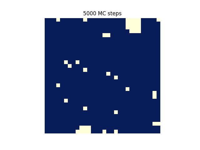 물리:5000_mc_steps.png