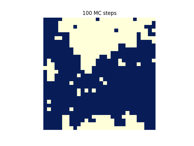 물리:100_mc_steps.png