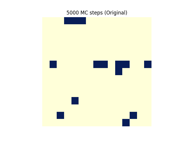 물리:5000_mc_steps_decimation_.png