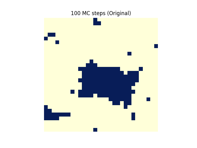 물리:100_mc_steps_original_.png