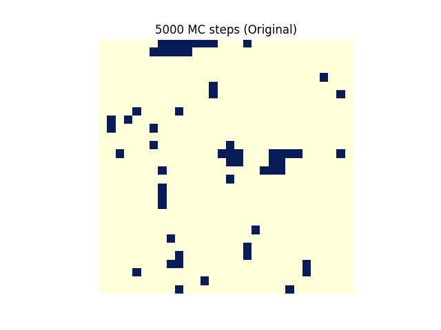 물리:5000_mc_steps_original_.png