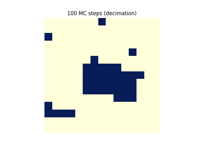 물리:100_mc_steps_decimation_.png
