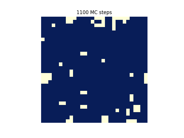 1000_mc_steps.png