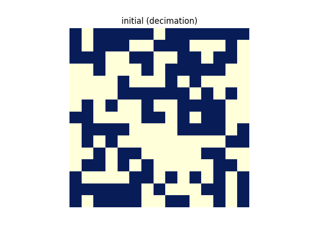 initial_decimation_.png