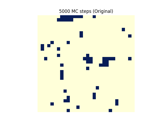 5000_mc_steps_original_.png